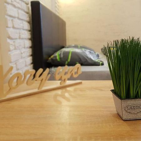 New Luxury Studio Apartment Ivano-Frankivsk Exteriér fotografie