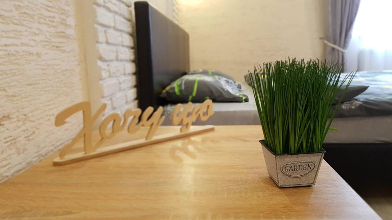 New Luxury Studio Apartment Ivano-Frankivsk Exteriér fotografie