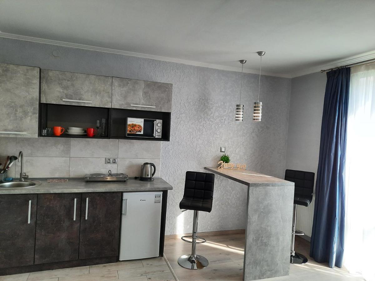 New Luxury Studio Apartment Ivano-Frankivsk Exteriér fotografie